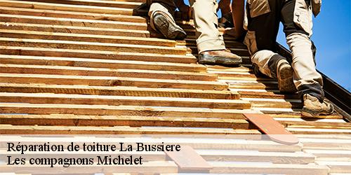 Réparation de toiture  la-bussiere-45230 Les compagnons Michelet