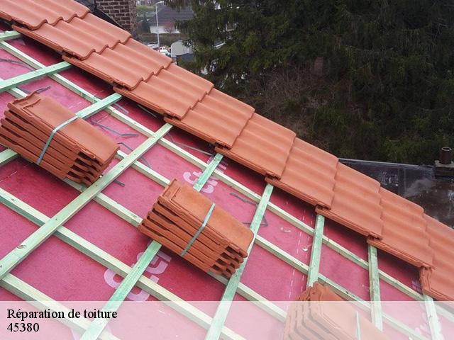 Réparation de toiture  45380