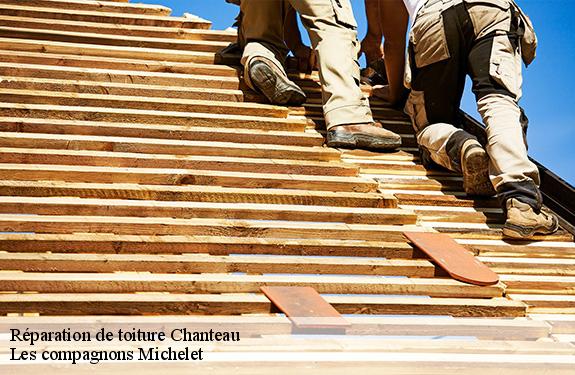 Réparation de toiture  45400