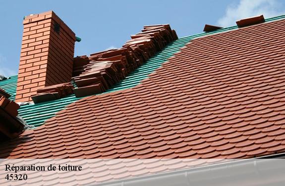 Réparation de toiture  45320