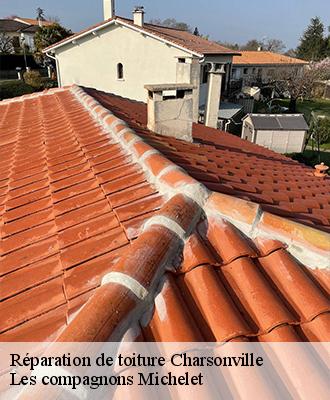 Réparation de toiture  charsonville-45130 Les compagnons Michelet