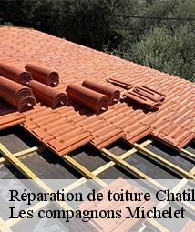 Réparation de toiture  chatillon-coligny-45230 Les compagnons Michelet