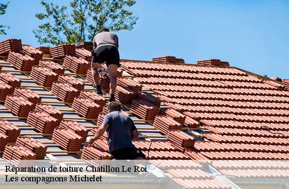 Réparation de toiture  chatillon-le-roi-45480 Les compagnons Michelet