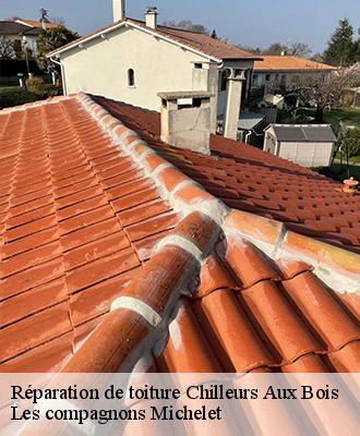 Réparation de toiture  chilleurs-aux-bois-45170 Les compagnons Michelet