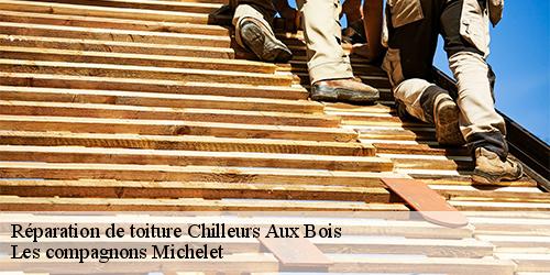 Réparation de toiture  chilleurs-aux-bois-45170 Les compagnons Michelet