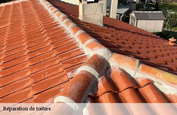 Réparation de toiture 45700