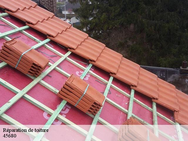 Réparation de toiture  45680