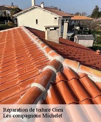 Réparation de toiture  gien-45500 Les compagnons Michelet