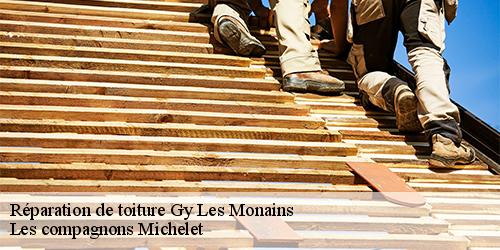 Réparation de toiture  gy-les-monains-45220 Les compagnons Michelet