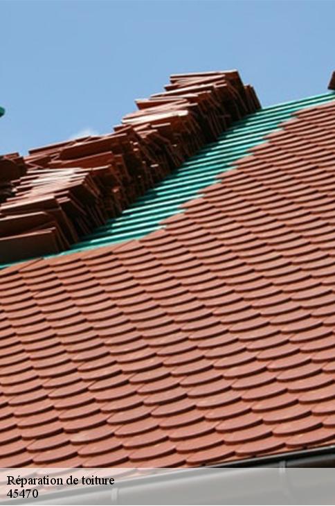 Réparation de toiture  loury-45470 Les compagnons Michelet