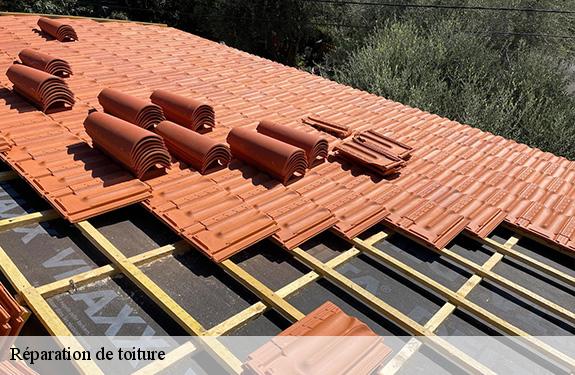 Réparation de toiture  45300