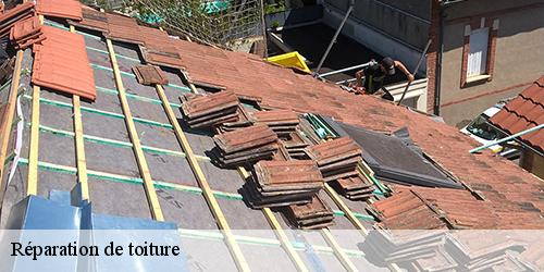 Réparation de toiture  marigny-les-usages-45760 Les compagnons Michelet