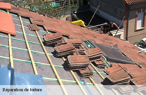 Réparation de toiture 45490