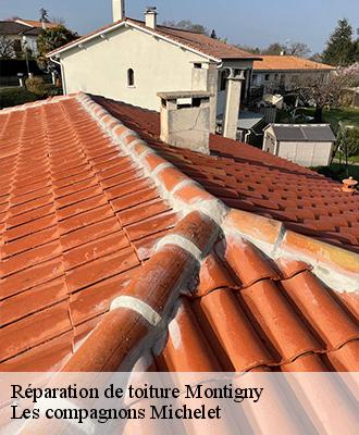 Réparation de toiture  montigny-45170 Les compagnons Michelet