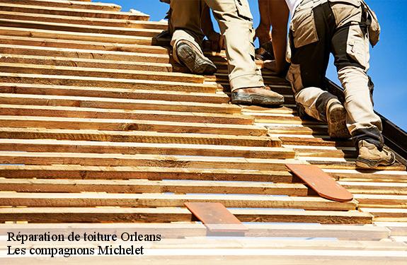 Réparation de toiture  45000