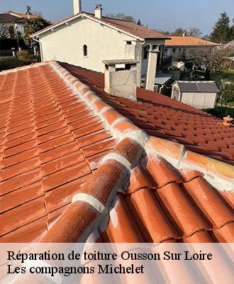Réparation de toiture  ousson-sur-loire-45250 Les compagnons Michelet