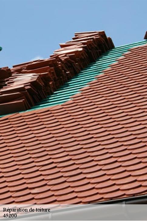 Réparation de toiture  paucourt-45200 Les compagnons Michelet