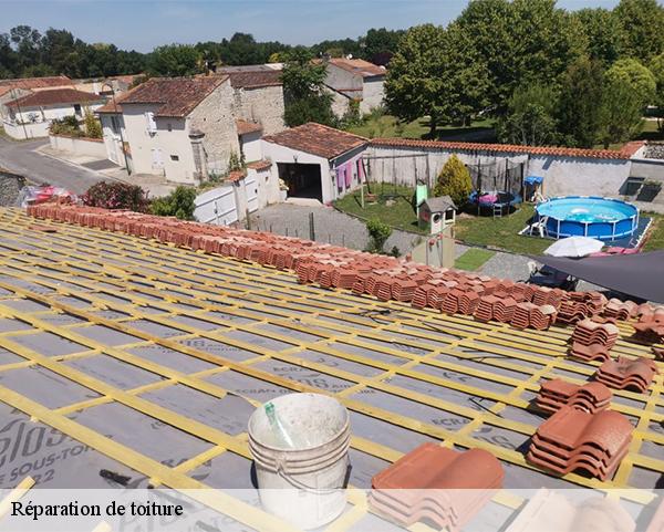 Réparation de toiture  rebrechien-45470 Les compagnons Michelet