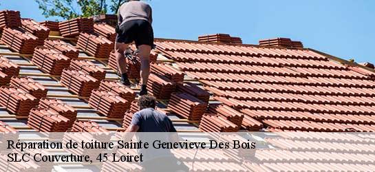 Réparation de toiture  45230