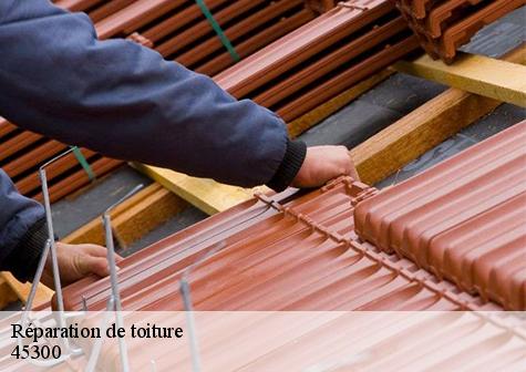 Réparation de toiture  sebouville-45300 Les compagnons Michelet