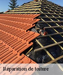 Réparation de toiture sigloy-45110 Les compagnons Michelet