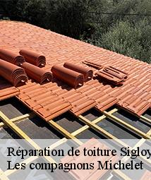 Réparation de toiture sigloy-45110 Les compagnons Michelet