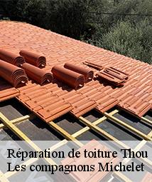 Réparation de toiture  thou-45420 Les compagnons Michelet