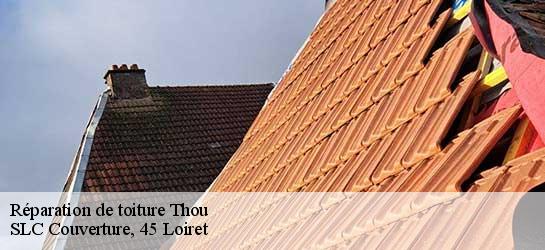 Réparation de toiture  45420
