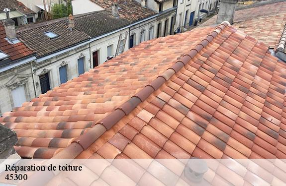 Réparation de toiture 45300