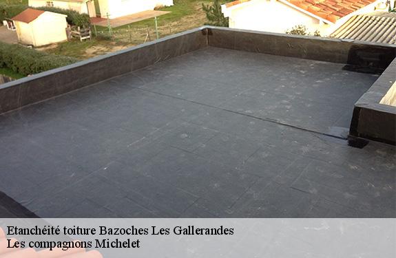 Etanchéité toiture  bazoches-les-gallerandes-45480 Les compagnons Michelet