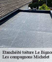 Etanchéité toiture  le-bignon-mirabeau-45210 Les compagnons Michelet