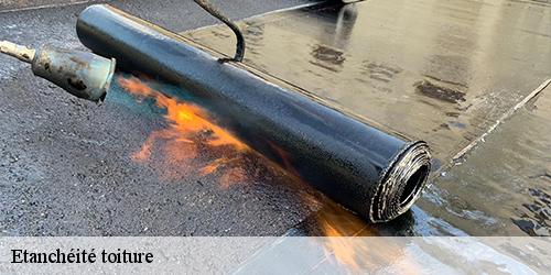 Etanchéité toiture  bouzonville-en-beauce-45300 Les compagnons Michelet