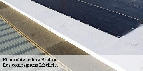 Etanchéité toiture  breteau-45250 Les compagnons Michelet