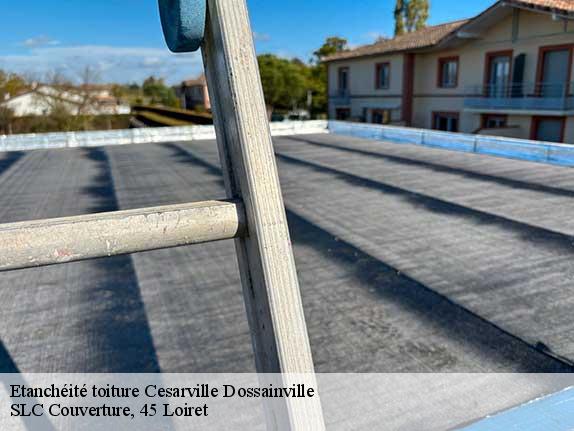 Etanchéité toiture  cesarville-dossainville-45300 Rénovation Marie