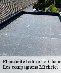 Etanchéité toiture  la-chapelle-saint-mesmin-45380 Les compagnons Michelet