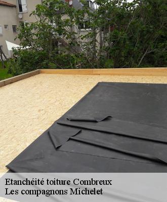 Etanchéité toiture  combreux-45530 Les compagnons Michelet