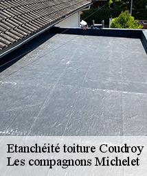 Etanchéité toiture  coudroy-45260 Les compagnons Michelet