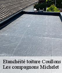 Etanchéité toiture  coullons-45720 Les compagnons Michelet
