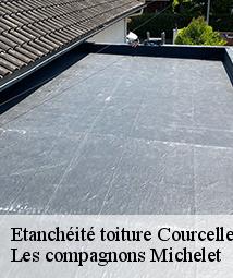 Etanchéité toiture  courcelles-45300 Les compagnons Michelet