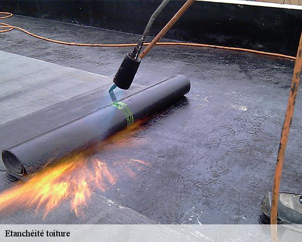 Etanchéité toiture  douchy-45220 Les compagnons Michelet