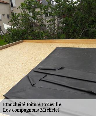 Etanchéité toiture  erceville-45480 Les compagnons Michelet