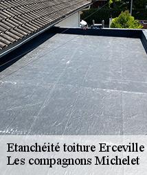 Etanchéité toiture  erceville-45480 Les compagnons Michelet