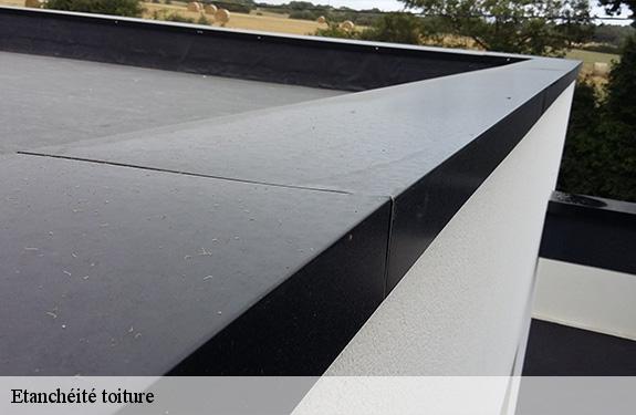 Etanchéité toiture  45320