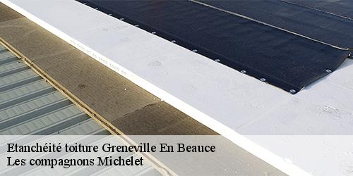 Etanchéité toiture  greneville-en-beauce-45480 Les compagnons Michelet