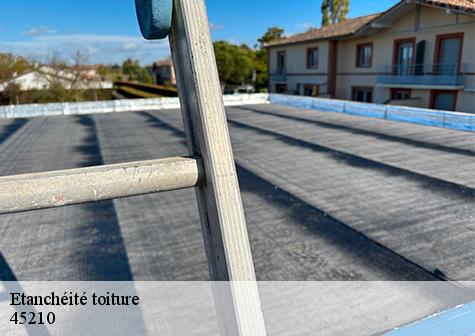 Etanchéité toiture  griselles-45210 Les compagnons Michelet