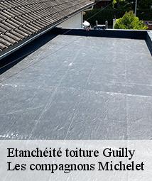 Etanchéité toiture  guilly-45600 Les compagnons Michelet