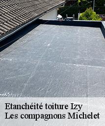 Etanchéité toiture  izy-45480 Les compagnons Michelet