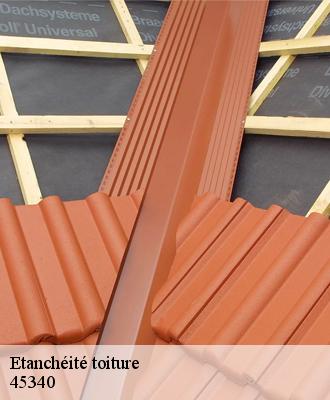 Etanchéité toiture  nancray-sur-rimarde-45340 Les compagnons Michelet
