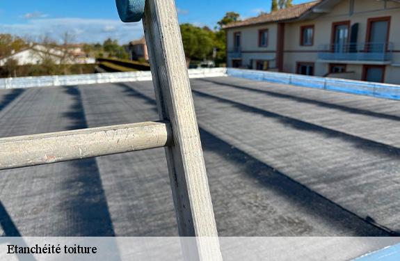 Etanchéité toiture  45260