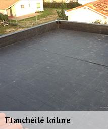 Etanchéité toiture  ondreville-sur-essonne-45390 Les compagnons Michelet